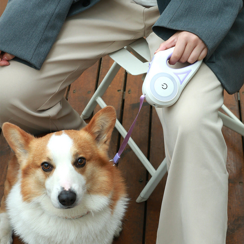 Retractable Spotlight Leash And Collar