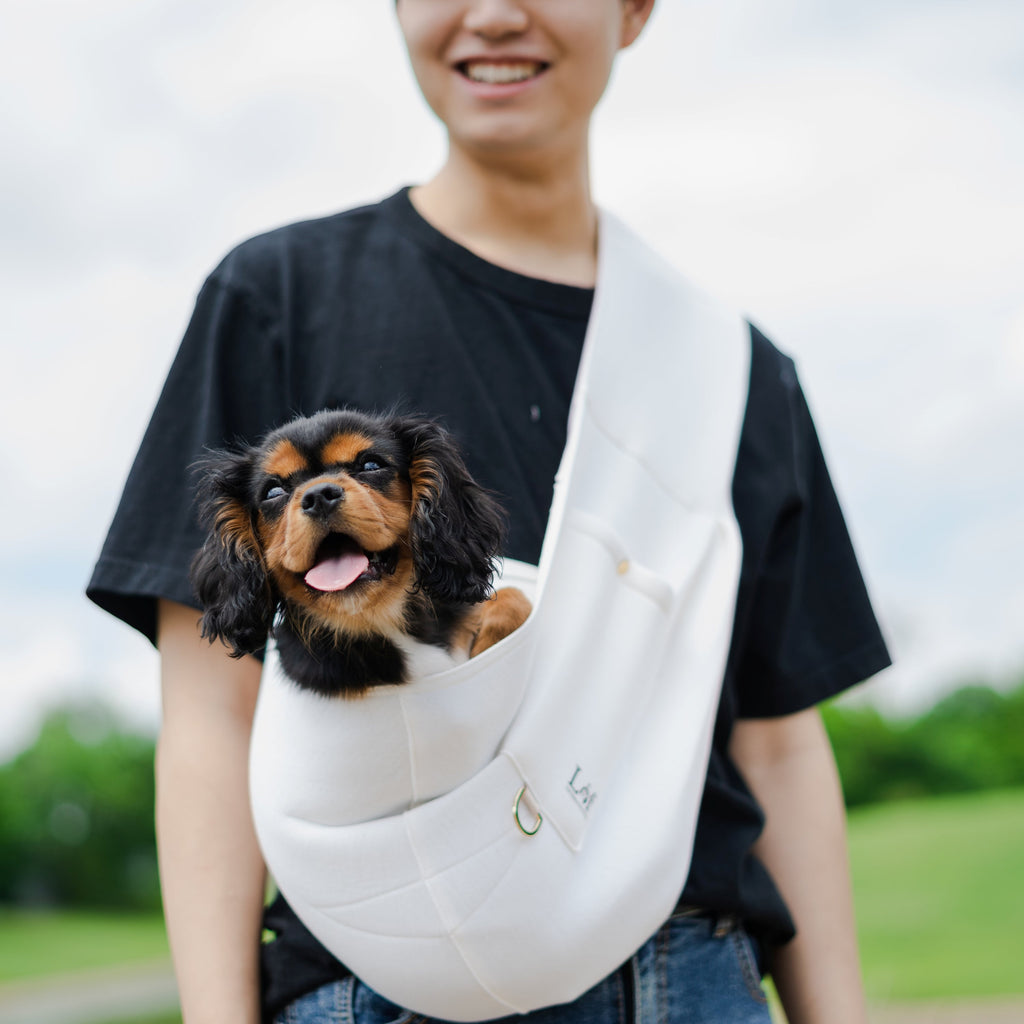 Secure & Stylish Travel Pet Sling