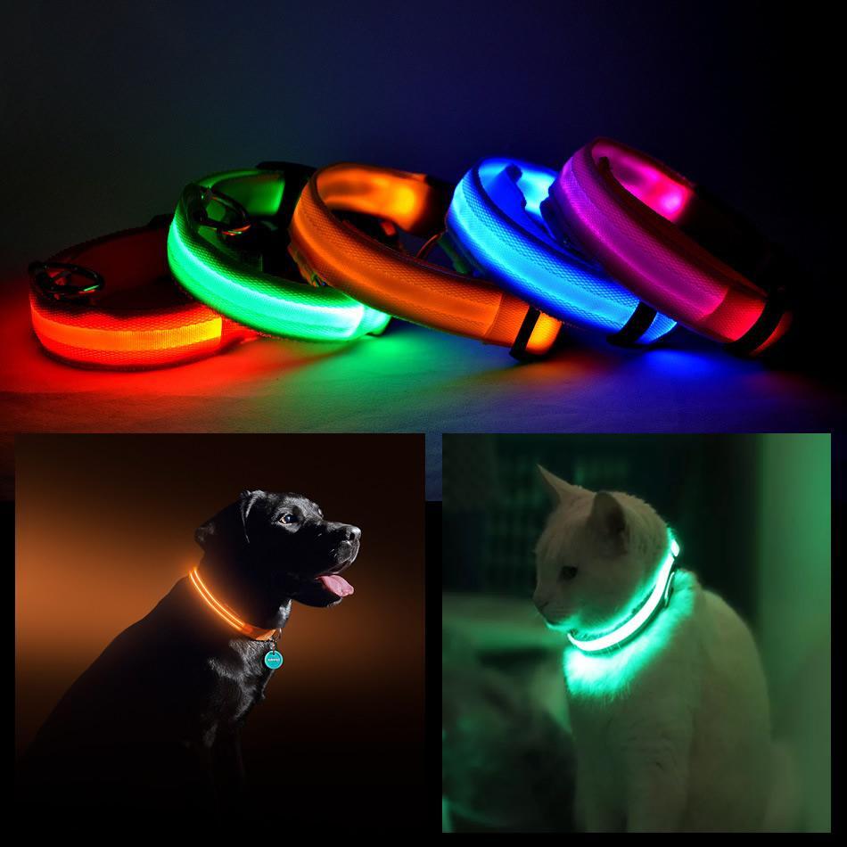 BLUE LARGE LED PET Safety Halo Style Collar